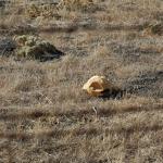 cambriaDR_0056 (November 02, 2019)